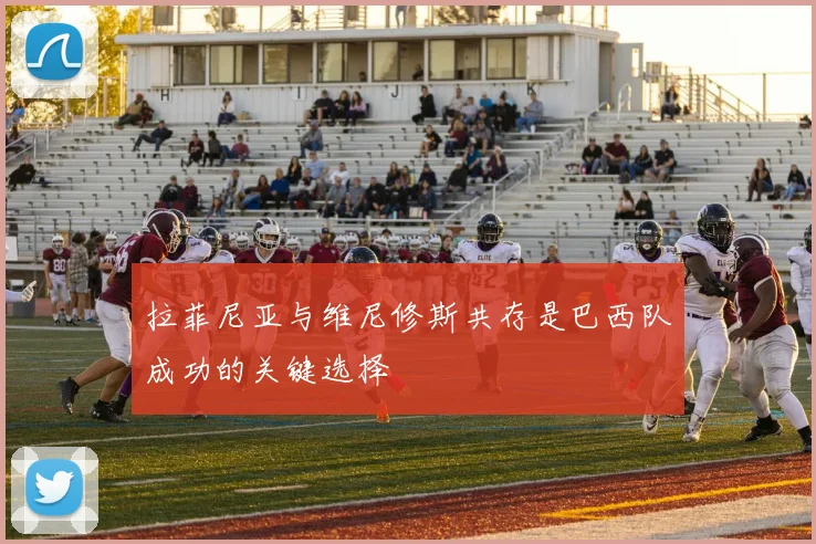 拉菲尼亚与维尼修斯共存是巴西队成功的关键选择