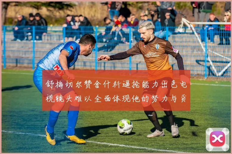 舒梅切尔赞舍什科逼抢能力出色电视镜头难以全面体现他的努力与贡献